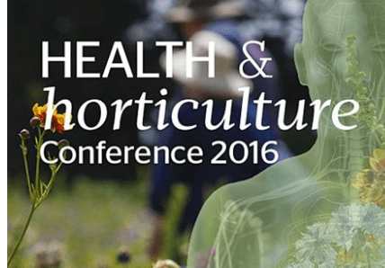 Screenshot 2016-08-02 00.52.27